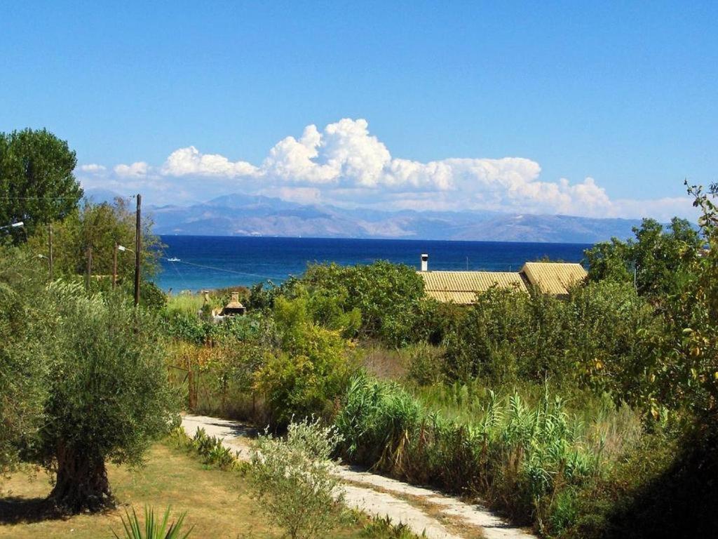 Firefly Georgios 11 *